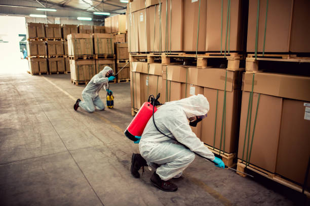 Best Pest Control Treatment  in Island Lake, IL