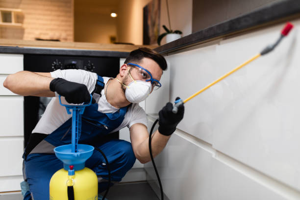 Best Termite Control Services  in Island Lake, IL