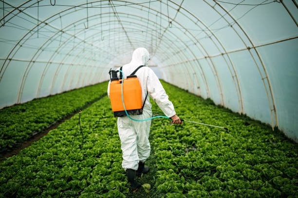 Best Pest Prevention Services  in Island Lake, IL