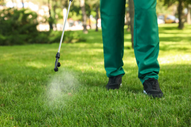 Best Rodent Control Near Me  in Island Lake, IL