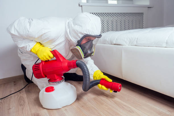 Best Flea Control Services  in Island Lake, IL