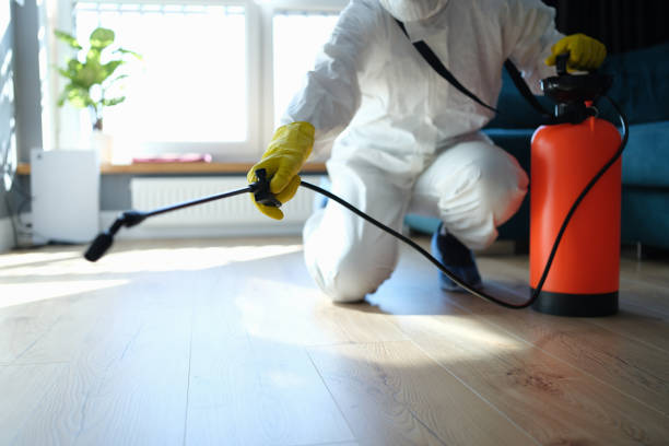 Best Pest Removal Services  in Island Lake, IL