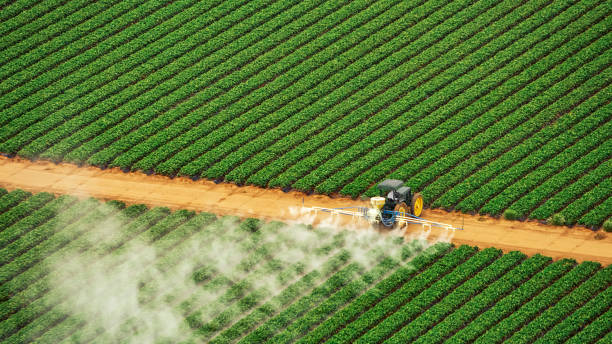 Best Commercial Pest Control Services  in Island Lake, IL