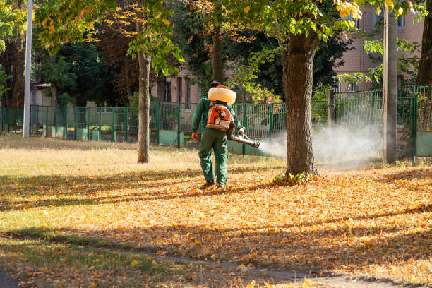 Best Flea Control Services  in Island Lake, IL
