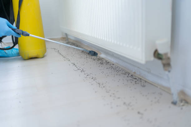 Best Exterminator Services  in Island Lake, IL