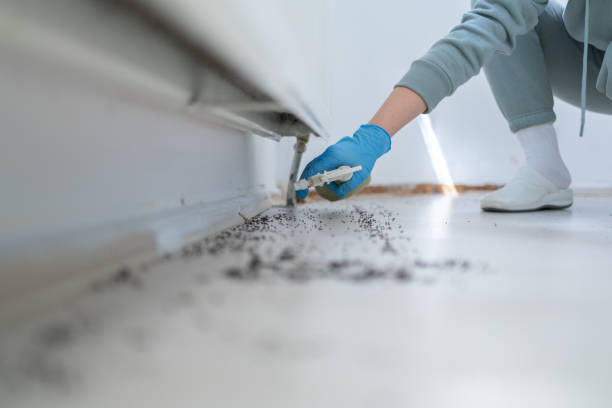 Best Wildlife Control Services  in Island Lake, IL